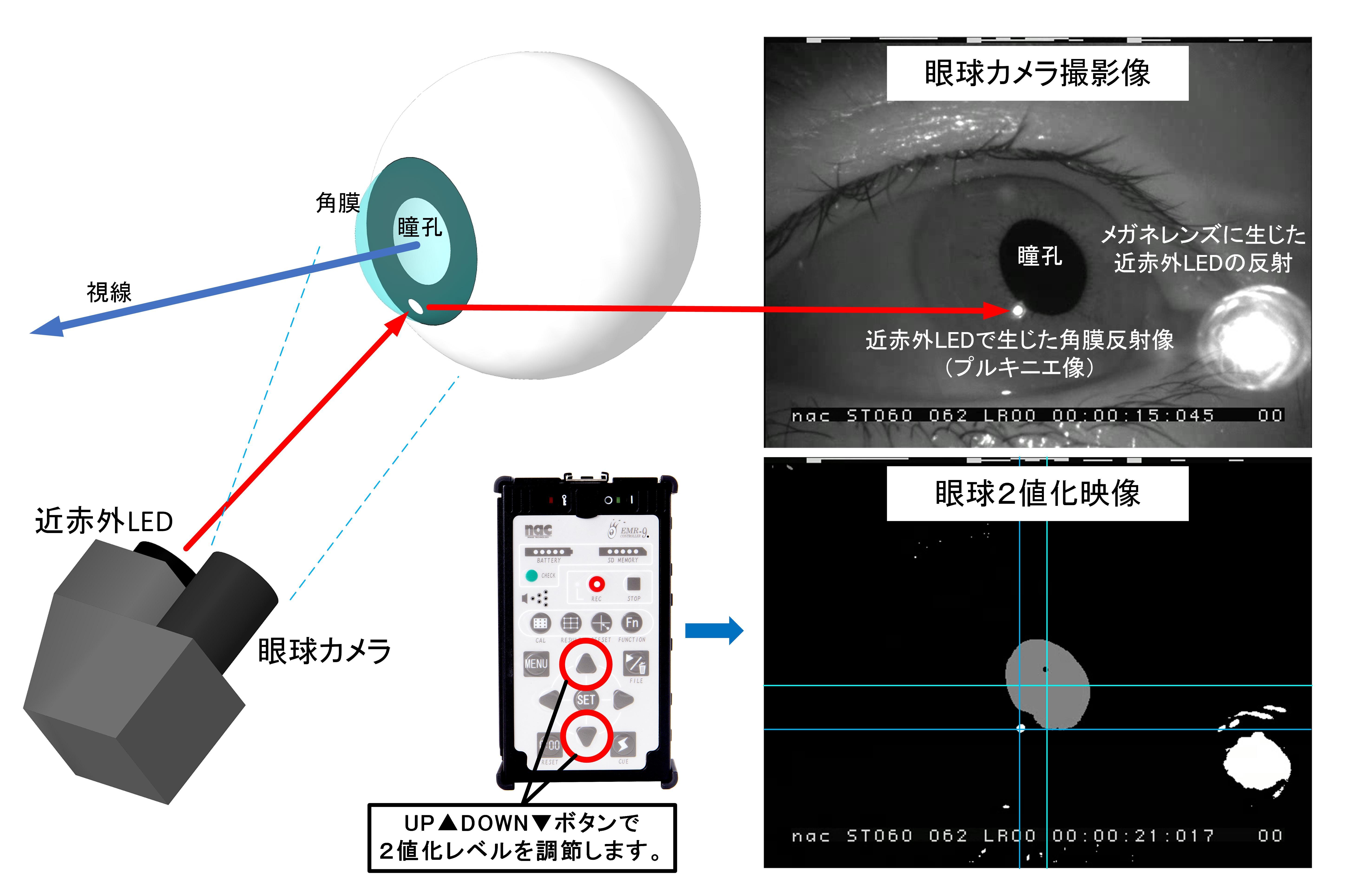 よくあるご質問 アイトラッキング ナックイメージテクノロジー